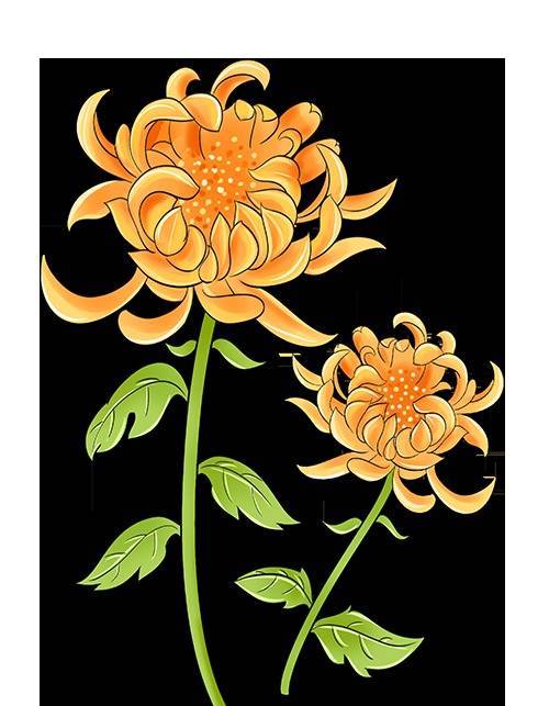 容新策略 为这朵花，赴一座城→